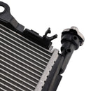 Radiador de alumínio para BMW S1000R (2015–2018)