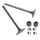 Juego de válvulas de admisión &amp; Escape para CG200 GS200 Dirt Bike Pocket Bike ATV Quad