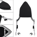 2014-2022 CVO LIMITED FLHTKSE Beifahrer-Sissybar-Rückenlehne