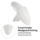 2020-2025 Street Triple 765 R RS Vorderradkotflügelverkleidung