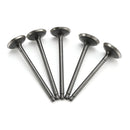 2007 Yamaha YXR660F Rhino 660 Sport Edition Kit de juntas de válvulas de admisión y escape de culata 5KM-12111-00 3YF-12111-00