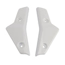 2020–2022 Street Triple 765 R/RS Kühlerseitenabdeckung Verkleidungsplatten