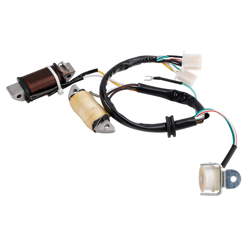 1987/1992/1993 Yamaha T80D Town Mate Ladespule & Lighting Coil 2MK-85560-M0 2ML-85560-M0