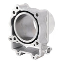 Segway Snarler AT6 105MM BIG BORE ZYLINDERKOLBENSATZ 567CC LU097148 LU097101