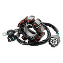 2008-2009 Kawasaki Motorcykel KLX450R Generator Stator Regulator & Pakning 21003-0070