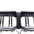 Frontstoßstangengrill in Hochglanzschwarz für BMW 2er F44 Coupé (2020–2023)