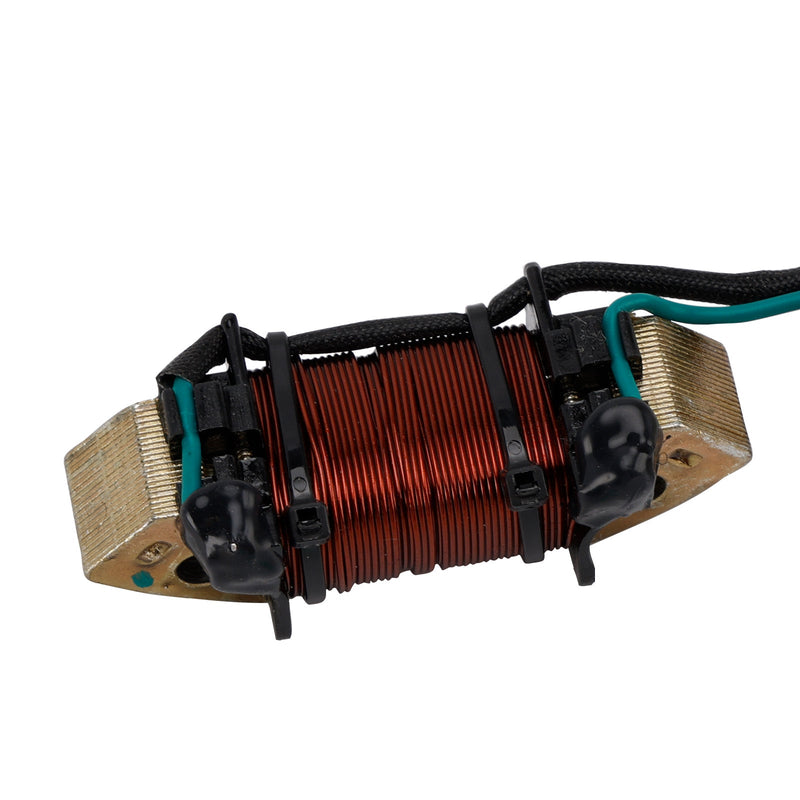 Lichtmaschine Beleuchtung Spule Für Tohatsu Nissan 8HP 9,8 HP 4-Hub 04-14 3AA-06023-0