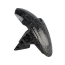 2020-2025 Street Triple 765 R RS Vorderradkotflügelverkleidung