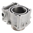 2017-2023 Cub Cadet Challenger 550 Cilindro Kit Top Piston P01500011a0000 1311a-010-0000