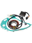 1991-1996 FÜR SUZUKI DR800S DR800SU GROSSE STATOR-MAGNET-REGLERDICHTUNG