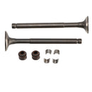 69-mm-Einlass-/Auslassventil-Kit für GY6 139QMB Moped 50cc 80cc Sunl Baja Taotao
