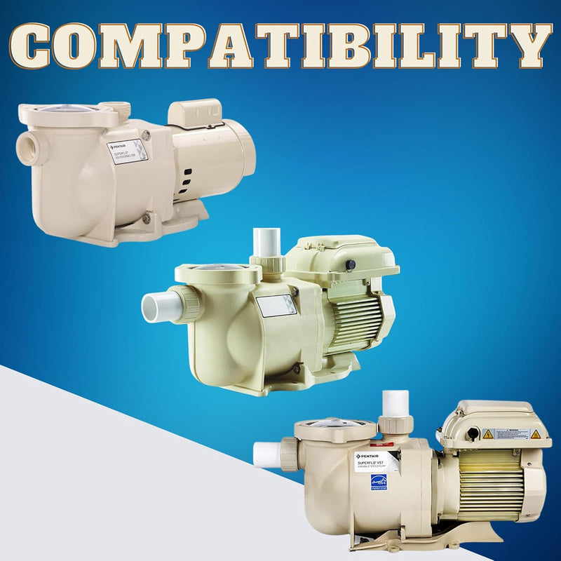 Stor korgpump 355667 för pool- och spa -pump