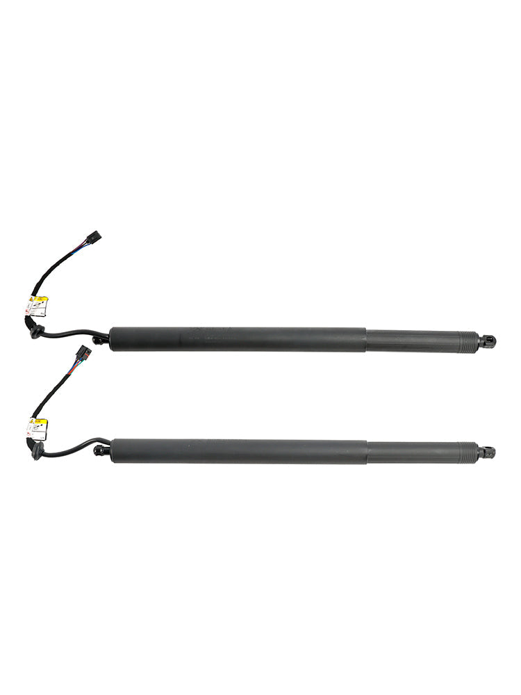 2020-2022 Hyundai Palisade 2PCS Elektrische Heckklappen-Hebeunterstützung 81831-S8100