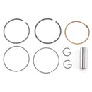 ZYLINDER-KOLBEN-DICHTUNGSSATZ FÜR YAMAHA YP125 MAJESTY XN125 TEOS MAXSTER 125CC