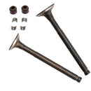 Ventil Set Einlass & Auslass 64mm für GY6 50ccm Baotian Benzhou 139QMB 139QMA 4T