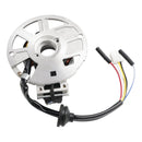 CHINESISCHER 49CC 50CC 2-TAKT-ROLLER 1PE40QMB JOG MINARELLI-MOTOR STATOR MAGNETO