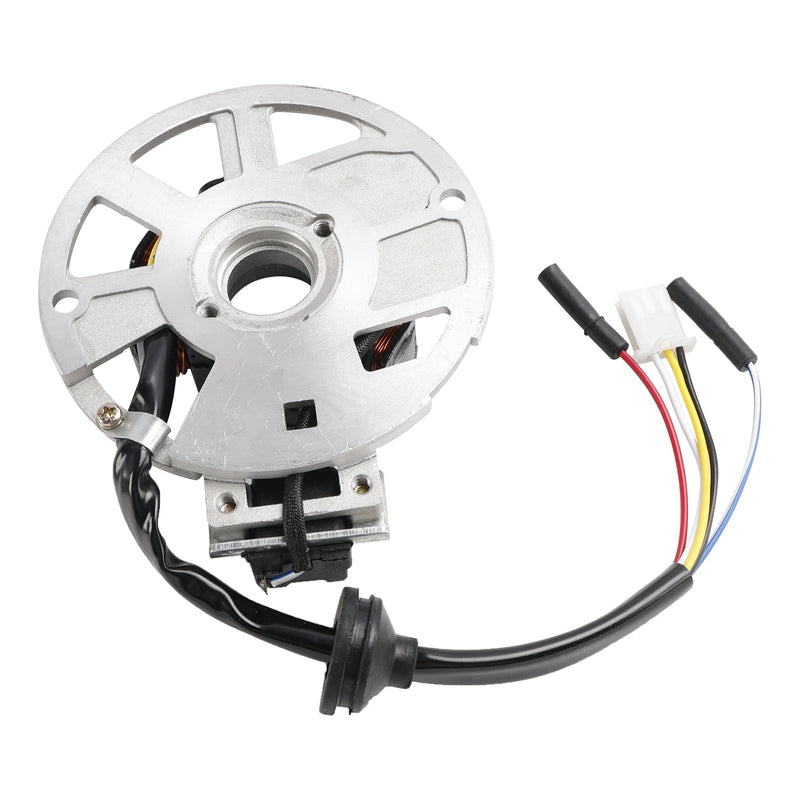 CHINESISCHER 49CC 50CC 2-TAKT-ROLLER 1PE40QMB JOG MINARELLI-MOTOR STATOR MAGNETO