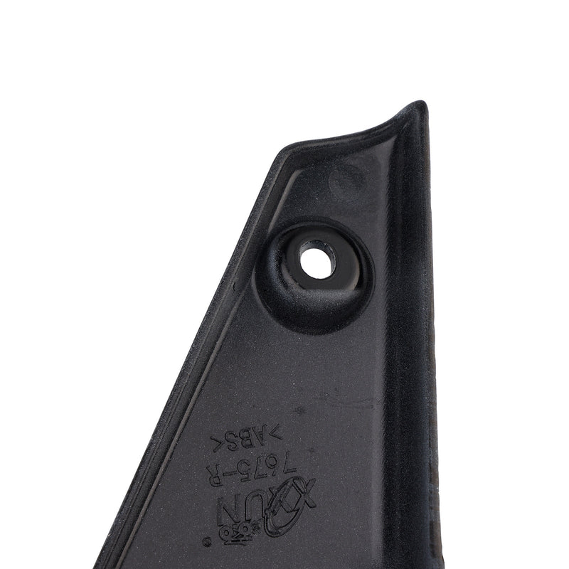 2020–2022 Street Triple 765 R/RS Kühlerseitenabdeckung Verkleidungsplatten