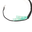 Areyourshop Magneto Assy Light Coil Passer for Yamaha 89-17 40PS 40X E40X 66T-85533-00