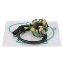 Magnetengenerator Statorspule mit Dichtung für SMR 450 560 2006-2007 77039004000