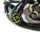 Statorgenerator für Honda CR 125 CR125R 2000-2001 31100-KZ4-A91 31100-KZ4-J31 Generic