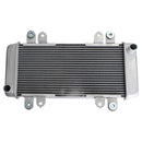 Kühlerschutz Kühlerkühlung für KAWASAKI NINJA 300 EX300 EX 300 2013-2017 Generic