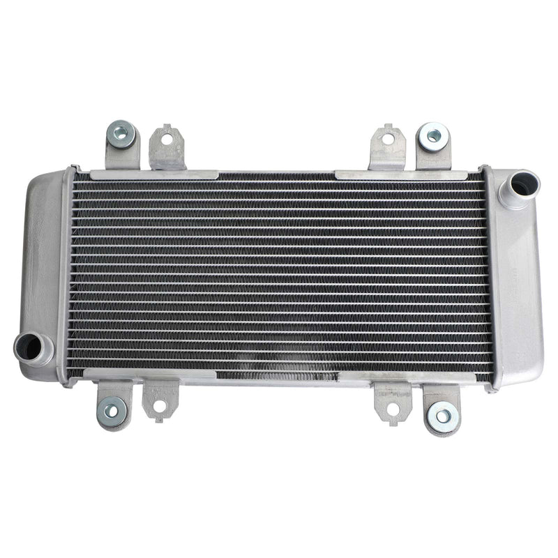 Radiator Guard Radiator Cooling para KAWASAKI NINJA 300 EX300 EX 300 2013-2017 Genérico