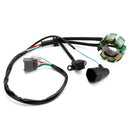 Generatorstator, tændingsdækselforsegling til Kawasaki KX 250 F BJ 2009-2010