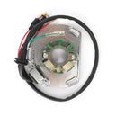 Paso del magneto del estator