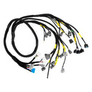 Honda Civic Integra B16 B18 D16 OBD2 Budget D&B serie motorledningsnet