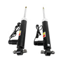 2× Lincoln MKZ 2.0L l4 el/gas DOHC gas DOHC turbo støddæmpere bag med elektrisk ASH24635 Fedex Express