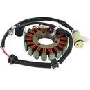 2008-2013 Yamaha Raptor 250 YFM250R Magneto Stator + usměrňovač napětí + těsnění Fedex Express