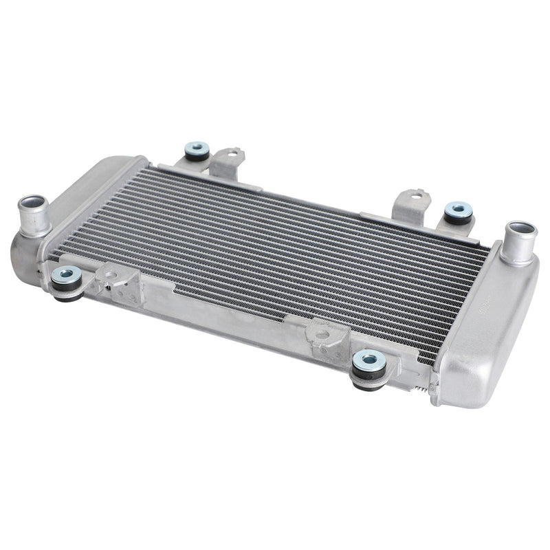 Radiator Guard Radiator Cooling para KAWASAKI NINJA 300 EX300 EX 300 2013-2017 Genérico