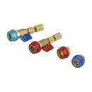 Automobilový AC R134A R1234YF Sada nářadí na demontáž a montáž jádra ventilu