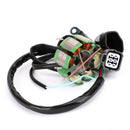 Statorgenerator för Suzuki RM-Z250 RMZ250 2005 2006 K2100-30027 K2100-30048