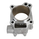 Honda CRF250R 2004-2009 /CRF250X 2004-2017 Cylinderkande i støbt aluminium 78 mm