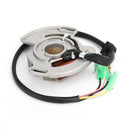 Generator Magneto Stator til Yamaha YFS200 Blaster 200 YFS 1997-2002 Generisk
