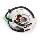 Areyourshop Stator Generator passer til Yamaha YFS200 Blaster 2003-2007 Blaster 200 SE 2006 Generisk