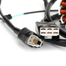 Lichtmaschine Magneto Stator für KLX250 KLX250S KLX250SF D-Tracker X 2008-2016 Generic