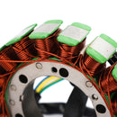 Areyourshop Stator Generator Magnet egnet for Cagiva Navigator X-TRA V Raptor 1000 2000-2005