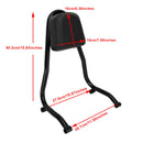 BMW R 18 Bikes 2020-2022 passagerarryggstöd