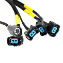 Honda Civic Integra B16 B18 D16 OBD2 Budget D&B serie motorledningsnet