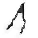 Respaldo de pasajero para Touring Road King / Road Glide / Street Glide 2009-2023