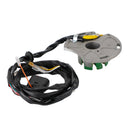 Magnetgeneratorstator lämplig för Gasgas EC 125 MC125 EC250 EC 300 2005-2015 / MC250534005 EE700001213