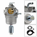 594593 591731 794572 796109 14,5-21 HP 31G777 31H707 Karburátor Karburátor