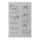 Dashboard skärmskydd, mycket transparent, lämplig för Vespa Gts300, Hpe Super Tech Generic