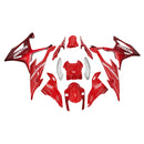 Amotopart BMW M1000RR S1000RR 2019-2022 Juego de carenado Cuerpo Plástico ABS