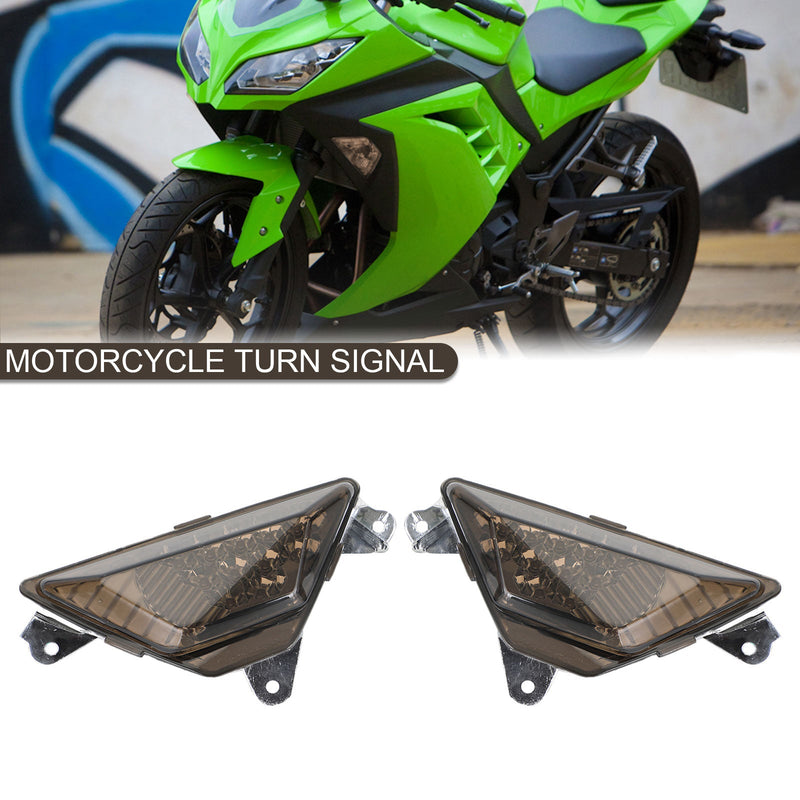 LED-Frontblinker für KAWASAKI NINJA 250 300 400 650 1000 ZX6R Smoke