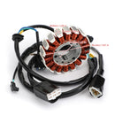 Lichtmaschine Magneto Stator für KLX250 KLX250S KLX250SF D-Tracker X 2008-2016 Generic