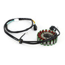 Statorgenerator für Kawasaki KLX 250 300 KLX300R KLX250 SR 1993-1998 Generic